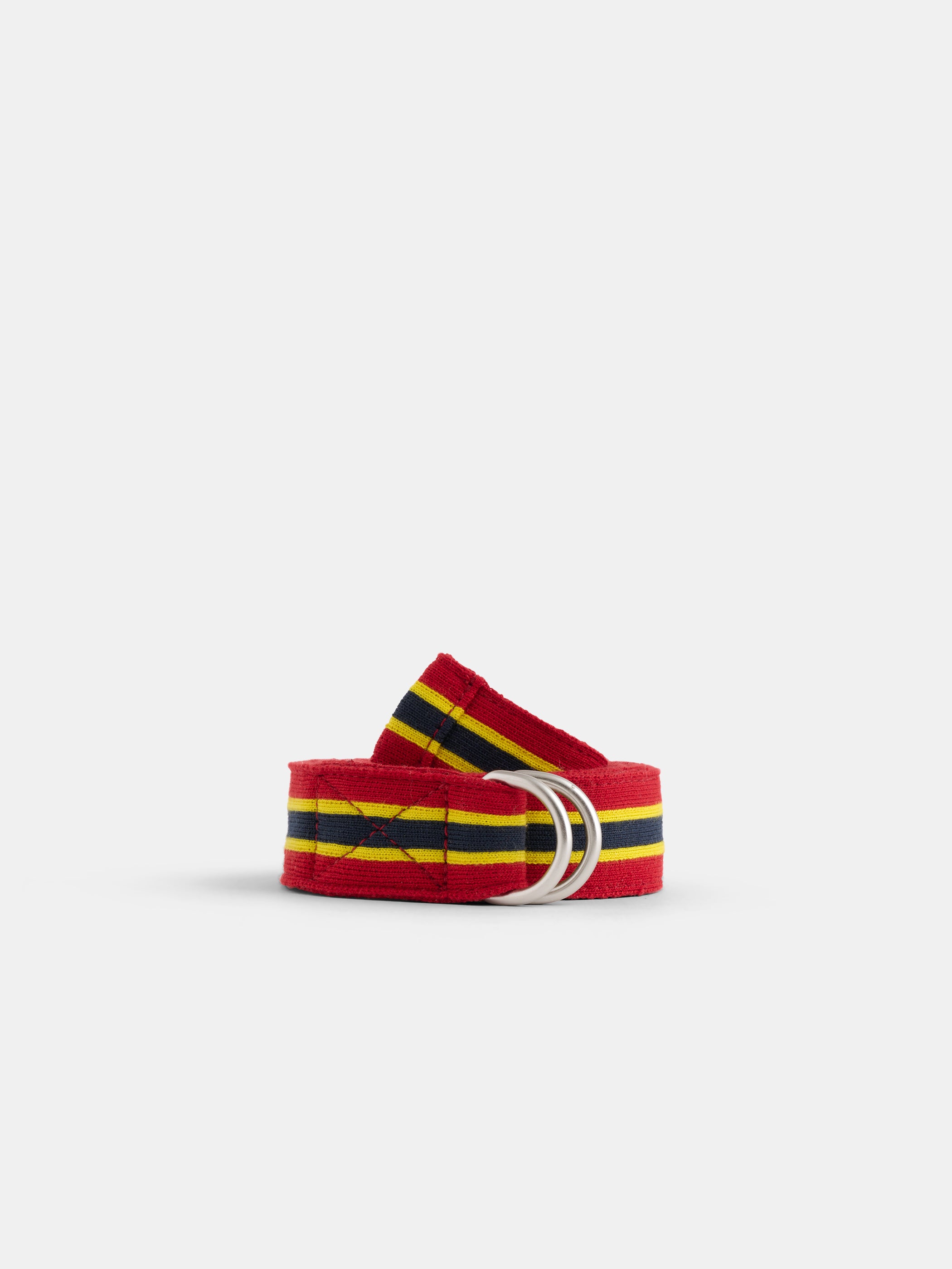 Stripe Web Belt
