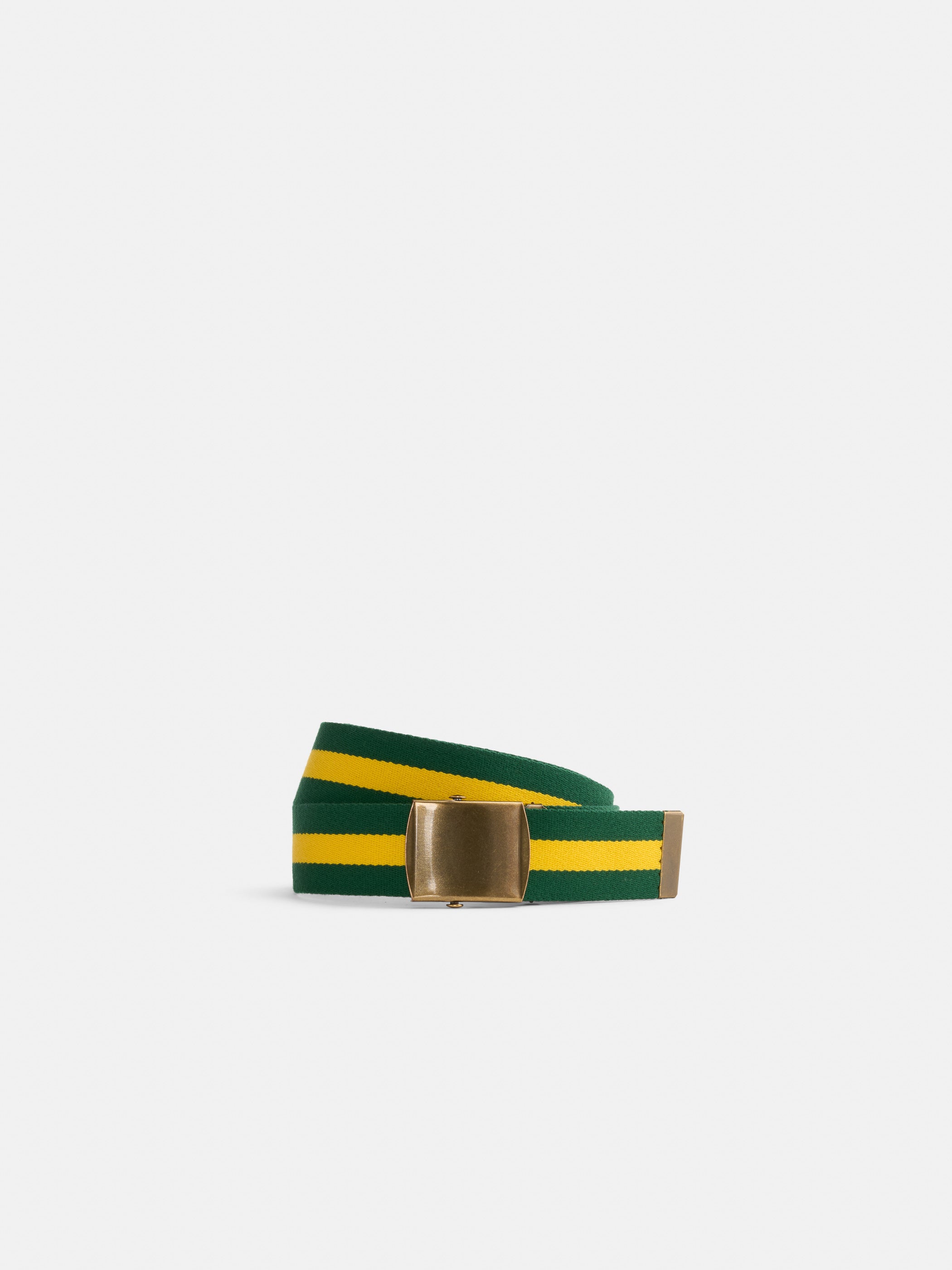 Striped Web Belt