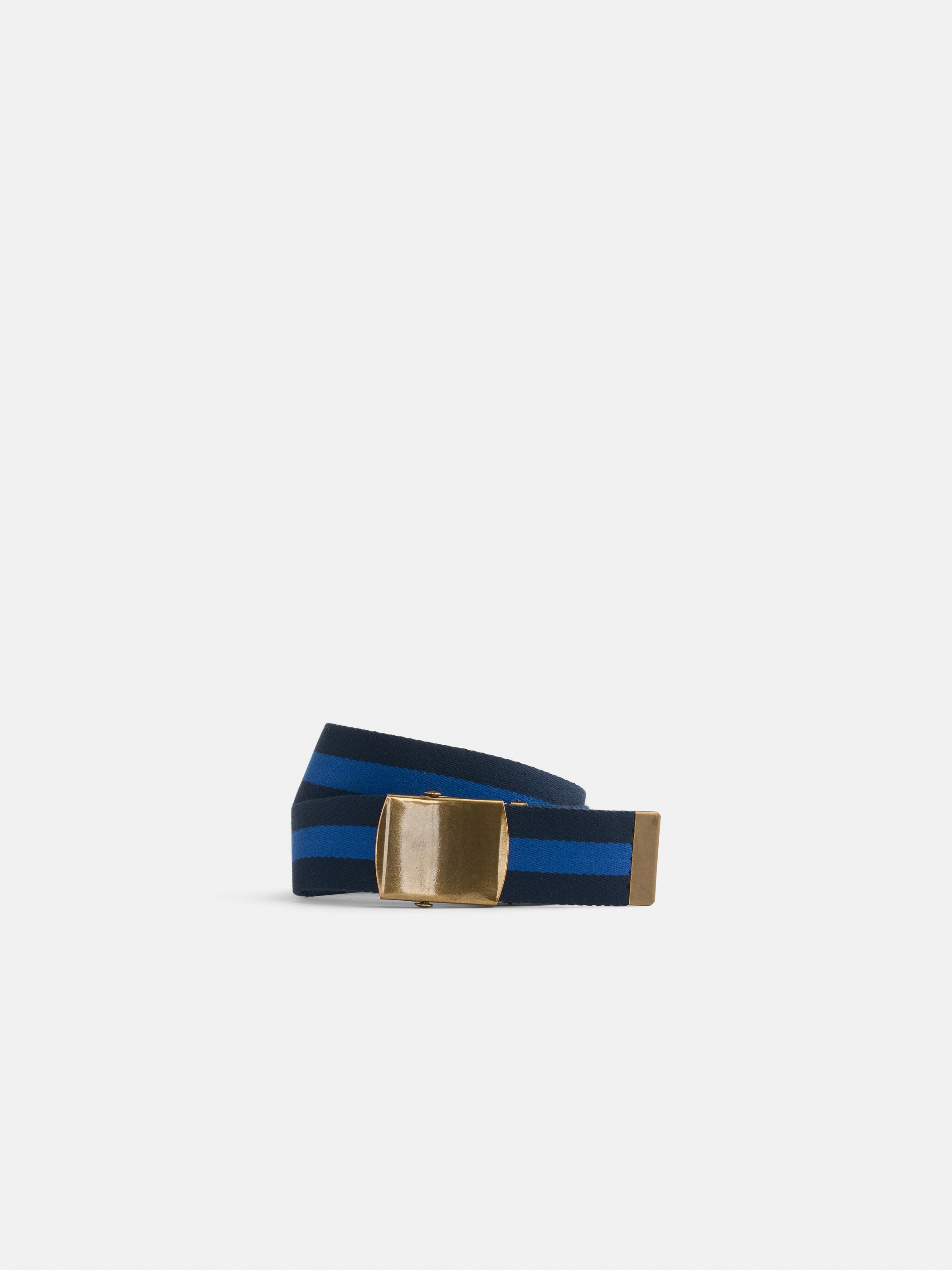 Striped Web Belt