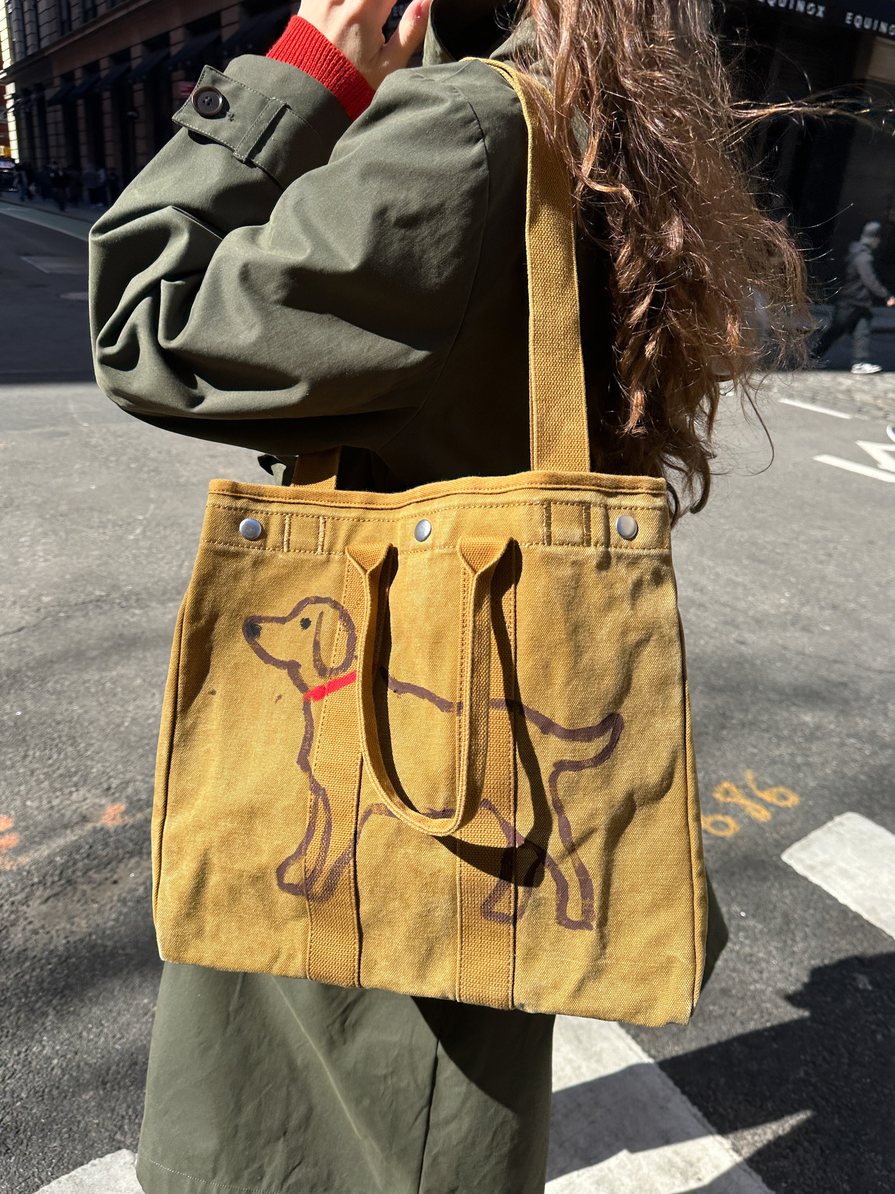 The Perfect Weekday Dog Tote
